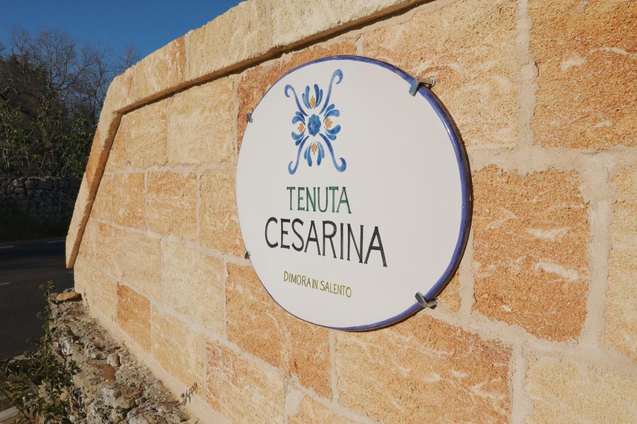 Tenuta Cesarina 알레사노 외부 사진